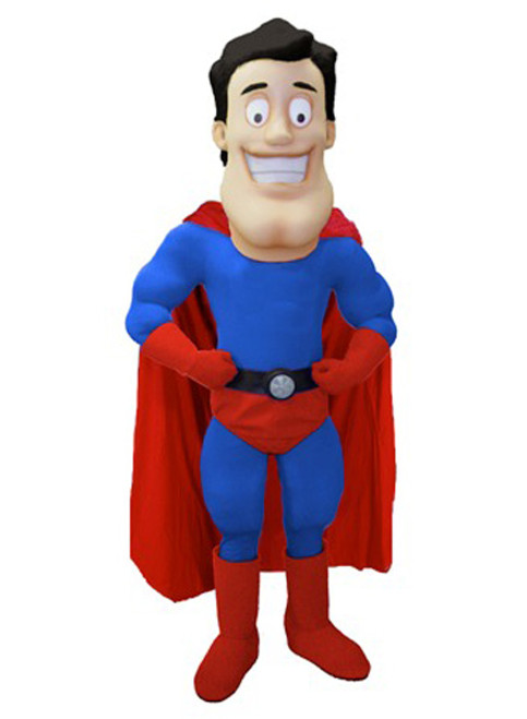 Super Hero Mascot Costume