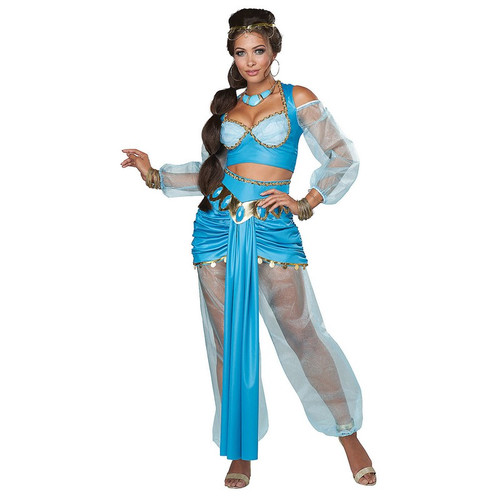 Women's Arabian Princess Costume