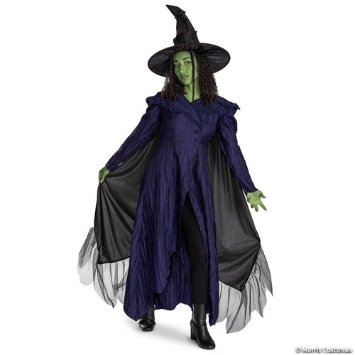 Adult Deluxe Wicked: For Good Elphaba Costume