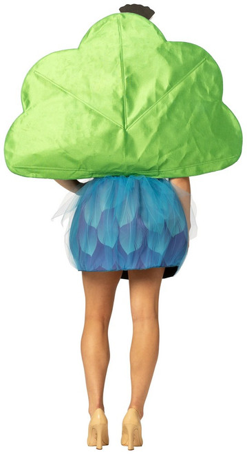 Women's Peacock Dress Costume