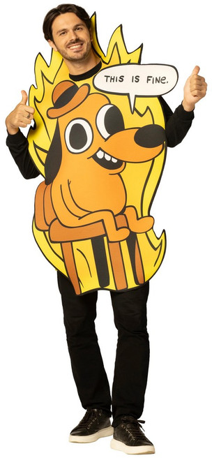 Adult This Is Fine Dog Meme Tunic Costume