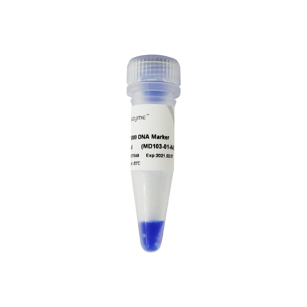 DL15000 DNA Marker MD103 - Cellagen Technology