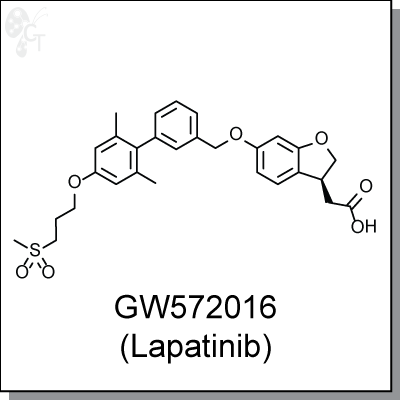 GW572016 (Lapatinib), 400x400px, png