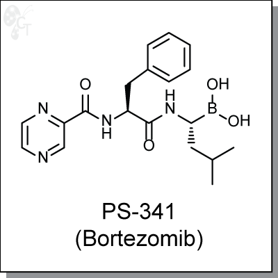 PS-341 (Bortezomib), 400x400px, png