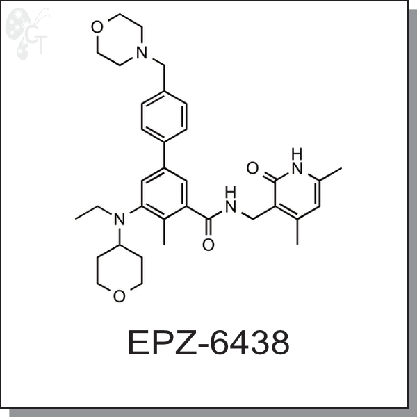 EPZ-6438 600x600