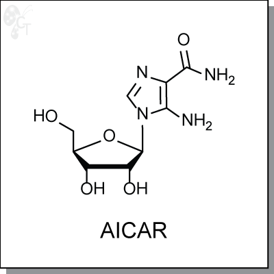 AICAR, 400x400px, png