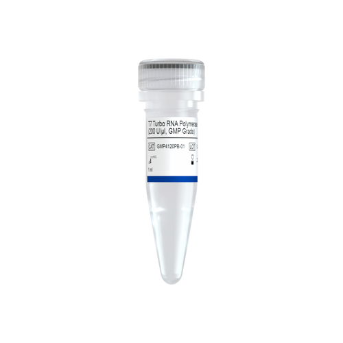 T7 Turbo RNA Polymerase (200 U/μl, GMP Grade)