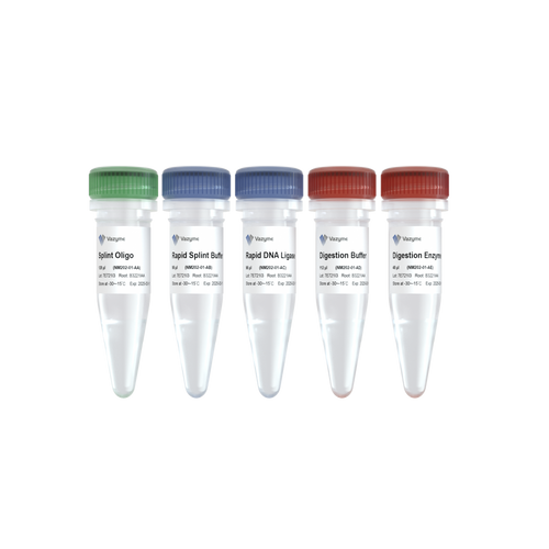 VAHTS Universal Circularization Kit for MGI