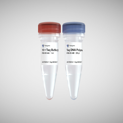 Taq DNA Polymerase (Mg2+ plus buffer)