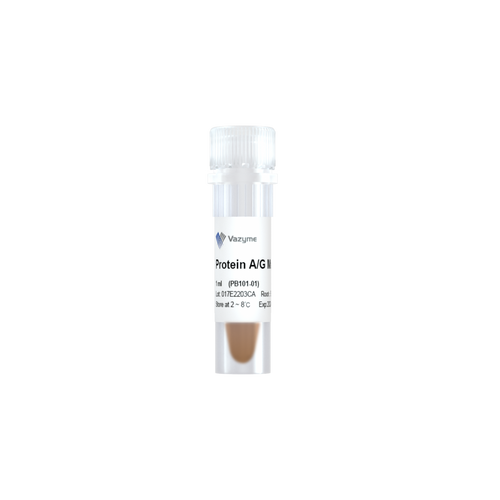 Protein A/G Magnetic Beads