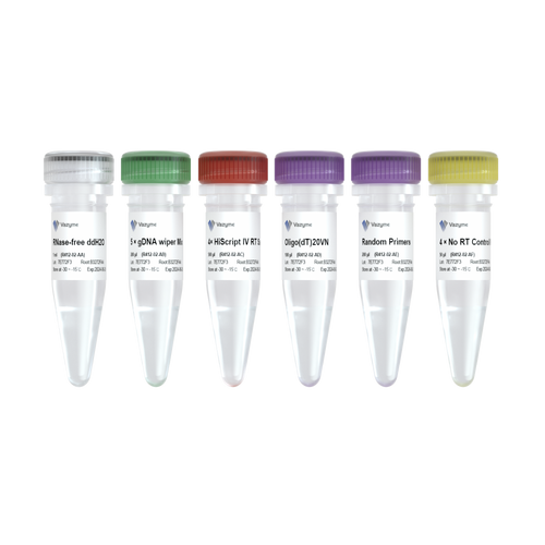 HiScript IV 1st Strand cDNA Synthesis Kit (+gDNA wiper)