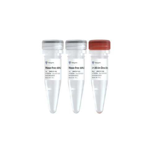 HiScript IV All-in-One Ultra RT SuperMix for qPCR