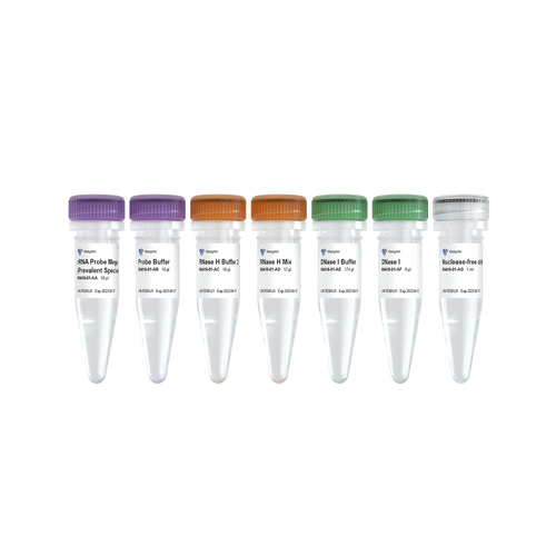 Ribo-clean rRNA Depletion Kit Mega (Prevalent Species)