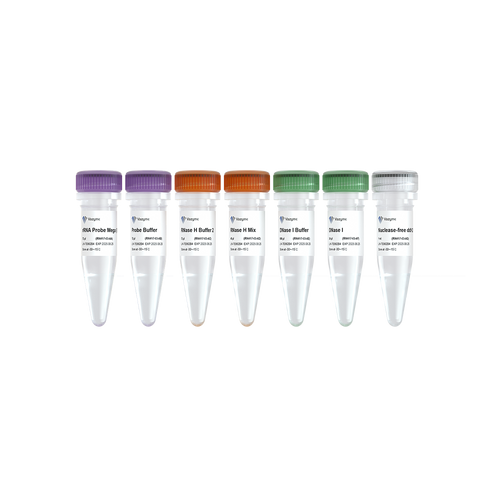 Ribo-clean rRNA Depletion Kit Mega (Bacteria)