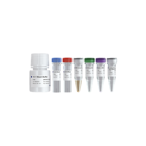 Hyperactive pA/G-MNase CUT&RUN Assay Kit for PCR/qPCR