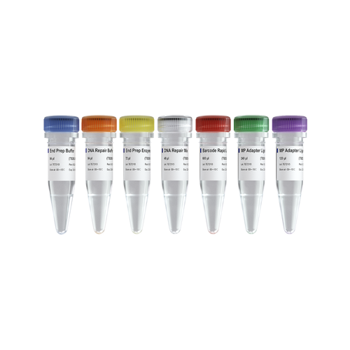 VAHTS TGS DNA Library Prep Kit for ONT v2
