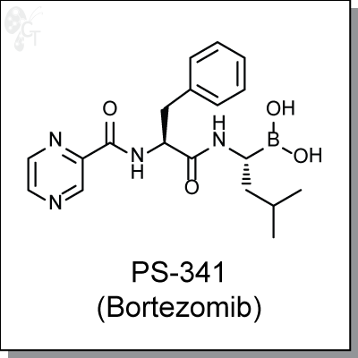 PS-341 (Bortezomib), 400x400px, png