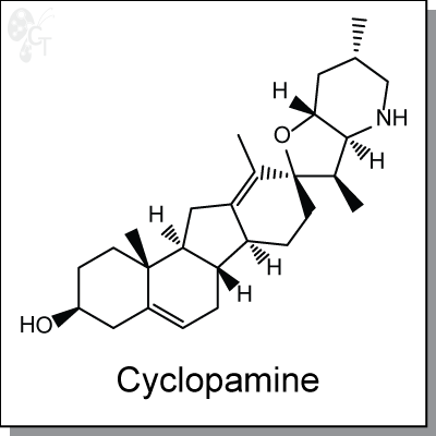 Cyclopamine, 400x400px, png