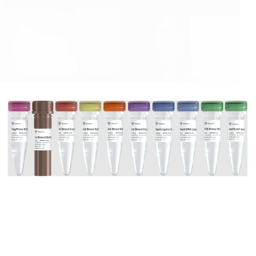 VAHTS Universal V10 RNA-seq Library Prep Kit for Illumina NR606 