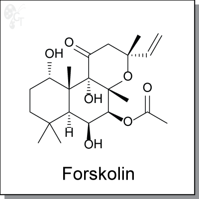 Forskolin, 400x400px, png