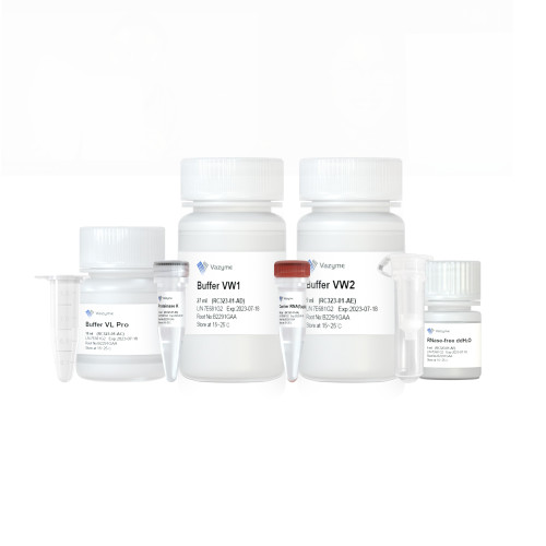 FastPure Viral DNA/RNA Mini Kit Pro RC323 