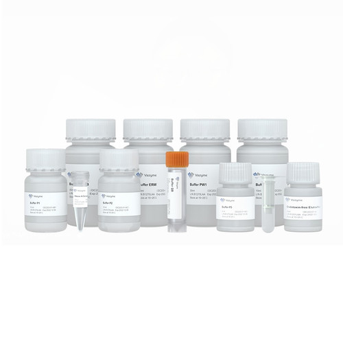 FastPure EndoFree Plasmid Mini Kit DC203 