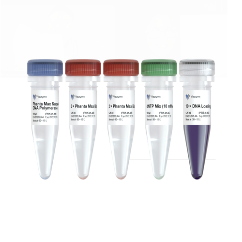 Phanta Max Super-Fidelity DNA Polymerase P505 