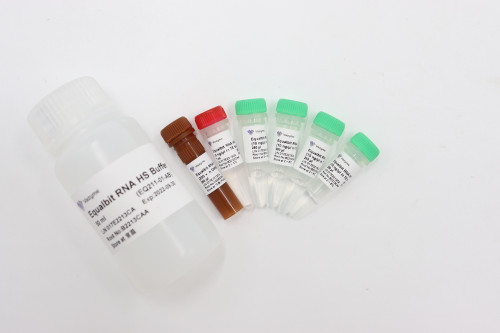 Equalbit RNA HS Assay Kit EQ211 
