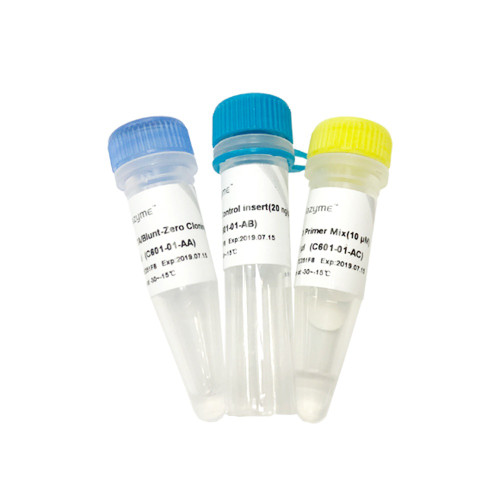 5 min TA/Blunt-Zero Cloning Kit C601 