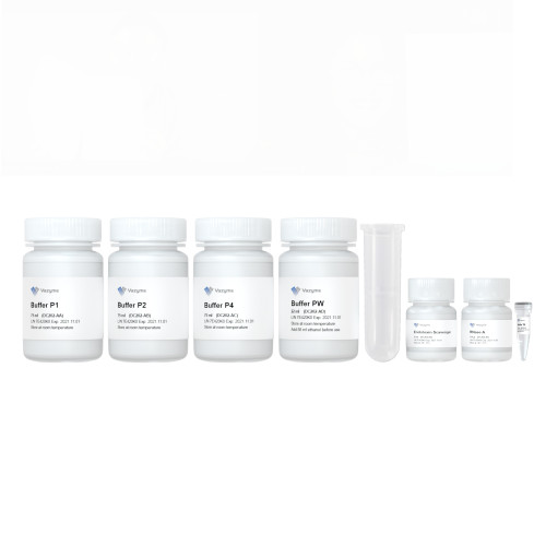 FastPure EndoFree Plasmid Maxi Kit DC202 