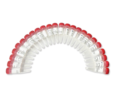 VAHTS RNA Adapters set8 for MGI NM208 