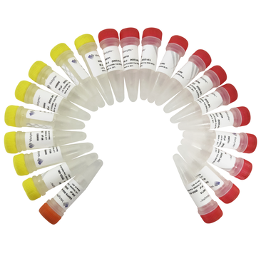 VAHTS RNA Multiplex Oligos set 1 for Illumina N323-N324 