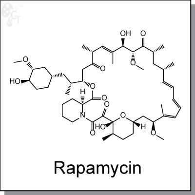 Rapamycin, 400x400px, png