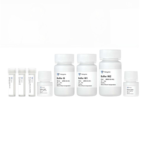 VAHTS Serum/Plasma Circulating DNA Kit N902 