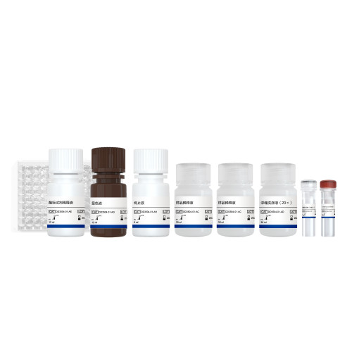 EasyAna T7 RNA Polymerase Quantitative Detection Kit (ELISA)