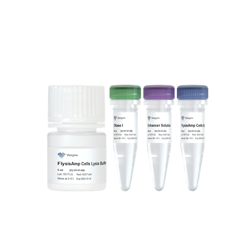 FlysisAmp Cells Lysis Kit