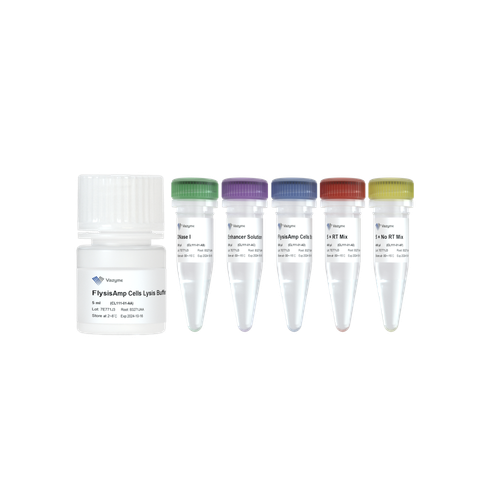 FlysisAmp Cells-to-cDNA Kit