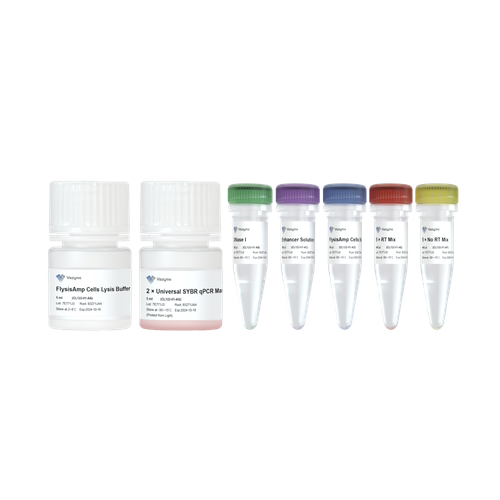 FlysisAmp Cells-to-CT 2-Step SYBR Green Kit