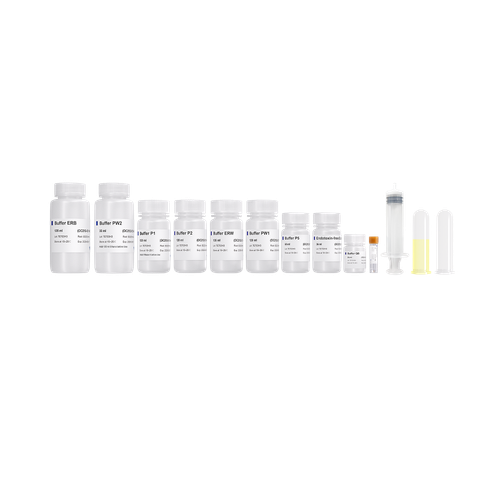 FastPure EndoFree Plasmid Maxi Kit V2