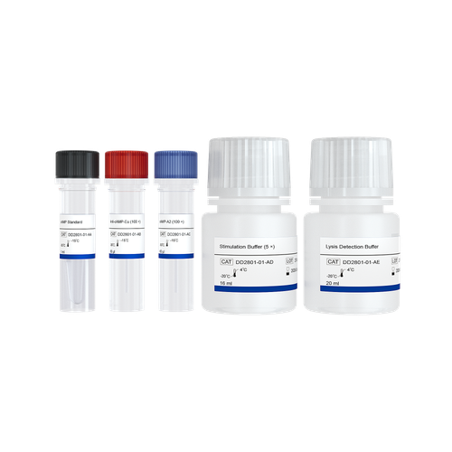 Add&Read TR-FRET cAMP Detection Kit