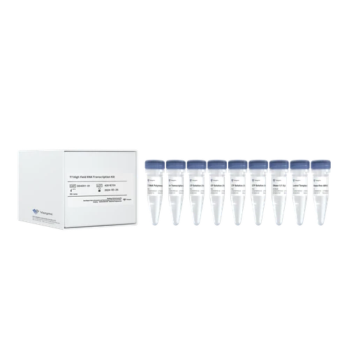 T7 High Yield RNA Transcription Kit
