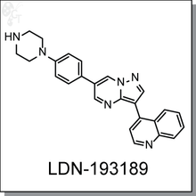 LDN-193189 | BMP type I receptors ALK2/3 inhibitor - Cellagen