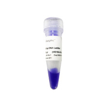 100 bp DNA Ladder MD104 - Cellagen Technology