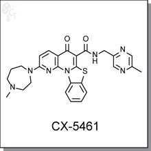 CRN20 CX_5461__81613.1771530750.220.
