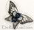 Butterfly, Fairy, Angel and Demon Kits - Royal Blue + Black Rings + Clear Scales