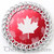 Large Lasered Anodized Aluminum Tags - 1.5'' diameter - Maple Leaf