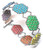 Hexmaille Bracelet - Rainbow