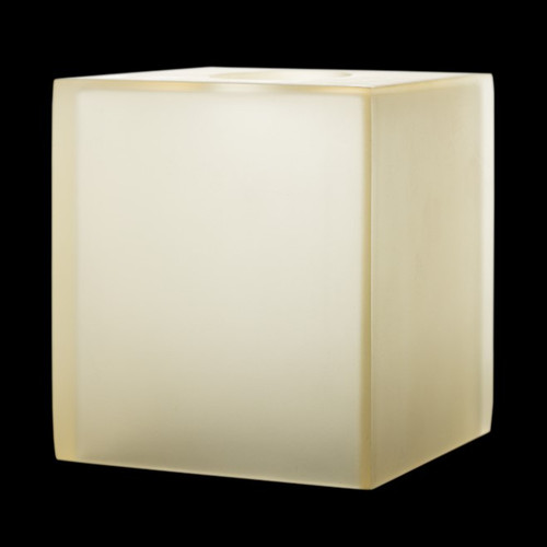 Frosted Lucite Resin Boutique Tissue Box