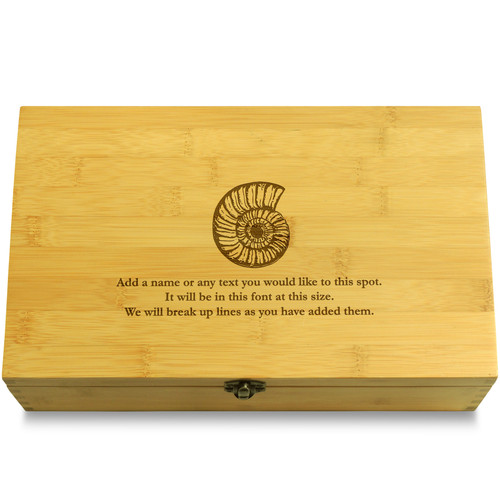 Seashell Spiral Fossil Ammonite Seaside Multikeep Box Bamboo Organizer