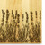 Lavender 9x12 Engraved Chopping Board Handle Maple Wood